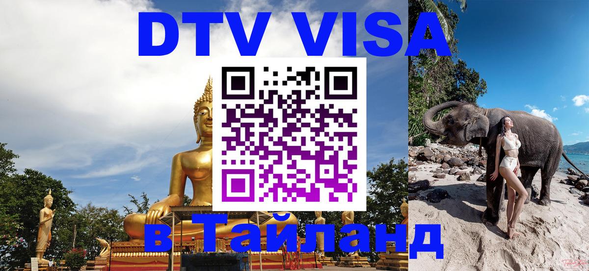 Сколько стоит DTV виза — актуальные цены, оформление даже без документов - Шахты 